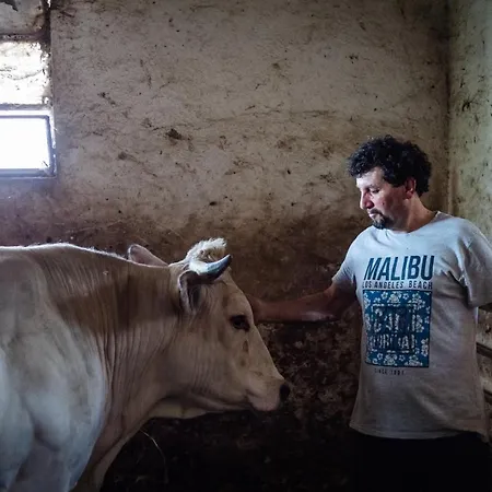 Frühstückspension All'ombra Del Castello Cigliè