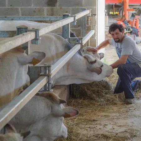 All'ombra Del Castello Frühstückspension