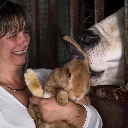 Bed and Breakfast All'ombra Del Castello Cigliè