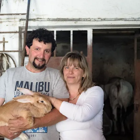 Bed and Breakfast All'ombra Del Castello Cigliè