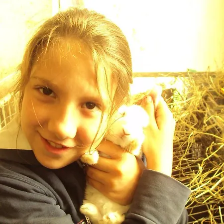 All'ombra Del Castello