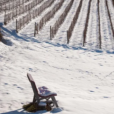 Bed and Breakfast All'ombra Del Castello Cigliè
