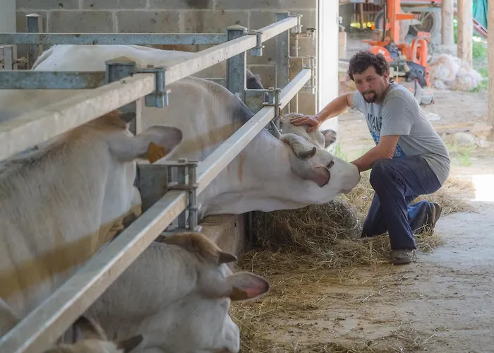 All'ombra Del Castello Bed & Breakfast