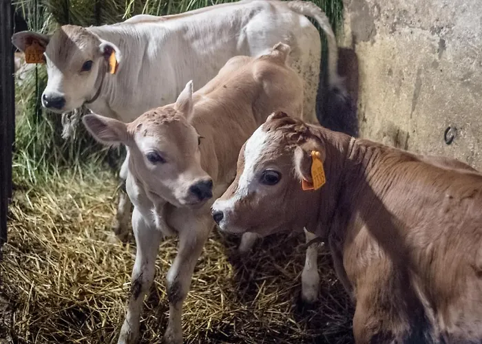 All'ombra Del Castello 3*